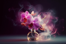 wmremove-transformed (8)